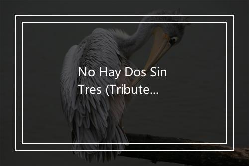 No Hay Dos Sin Tres (Tribute to David Bisbal Feat Cali El Dandee) - Youth Digita