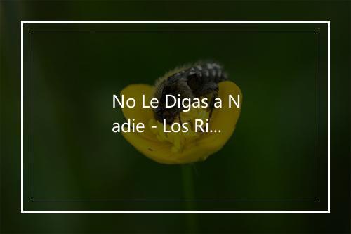 No Le Digas a Nadie - Los Rieleros Del Norte-歌词