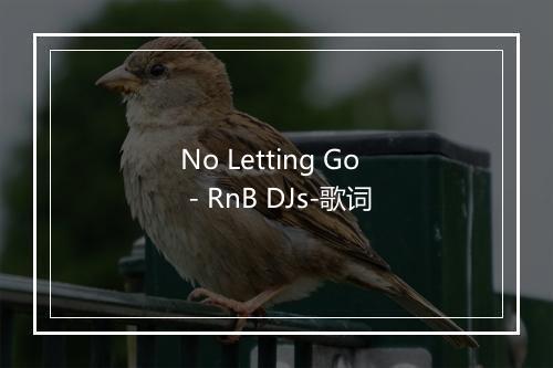 No Letting Go - RnB DJs-歌词