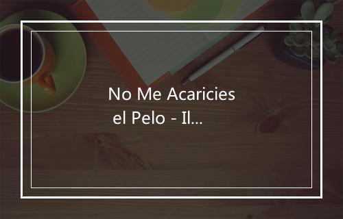 No Me Acaricies el Pelo - Ilegales-歌词