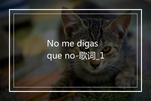 No me digas que no-歌词_1