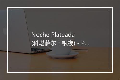 Noche Plateada (科塔萨尔：银夜) - Pedro Infante-歌词_1