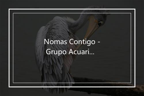 Nomas Contigo - Grupo Acuario-歌词