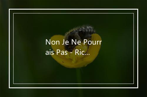 Non Je Ne Pourrais Pas - Richard Anthony-歌词