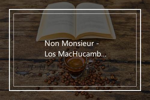 Non Monsieur - Los MacHucambos-歌词