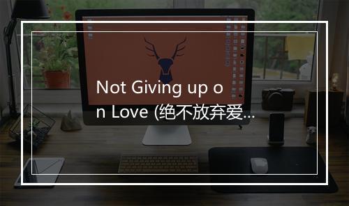 Not Giving up on Love (绝不放弃爱) (131 BPM) - Fitness Hits-歌词