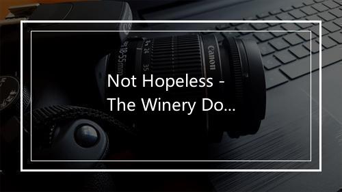 Not Hopeless - The Winery Dogs-歌词