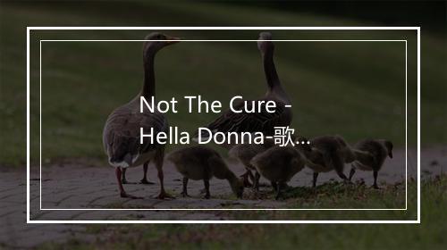 Not The Cure - Hella Donna-歌词_1