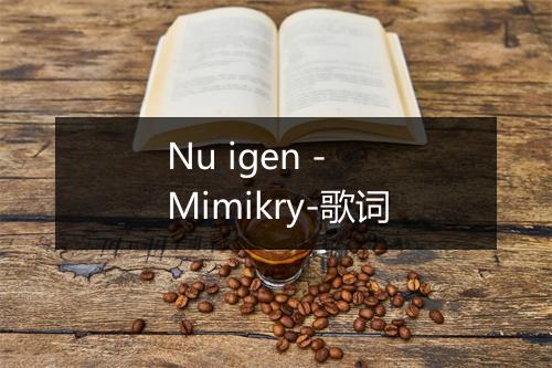 Nu igen - Mimikry-歌词