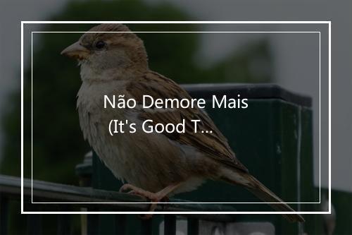 Não Demore Mais (It's Good To See You) - Renato e seus Blue Caps-歌词