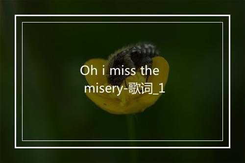 Oh i miss the misery-歌词_1