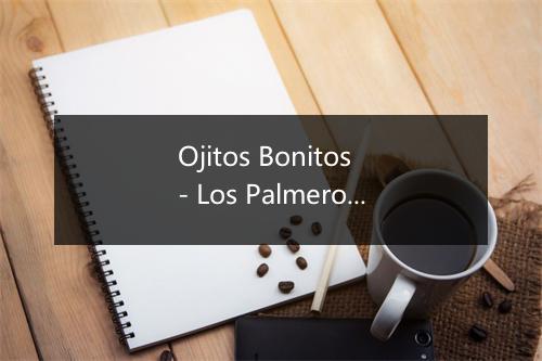 Ojitos Bonitos - Los Palmeros de San Carlos-歌词