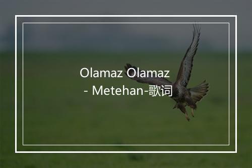 Olamaz Olamaz - Metehan-歌词