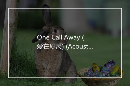 One Call Away (爱在咫尺) (Acoustic) - Charlie Puth (查理·普斯)-歌词