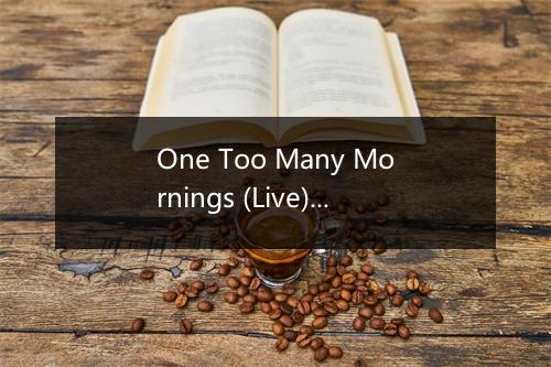 One Too Many Mornings (Live) - The Kingston Trio-歌词