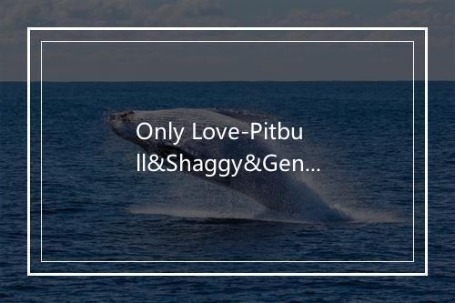 Only Love-Pitbull&Shaggy&Gene Noble -歌词