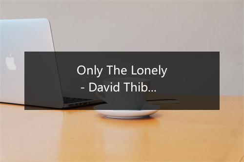 Only The Lonely - David Thibault-歌词