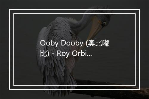 Ooby Dooby (奥比嘟比) - Roy Orbison (罗伊·奥比森)-歌词