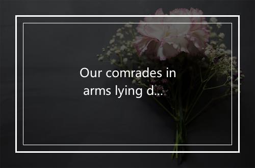 Our comrades in arms lying dead in the streets-歌词