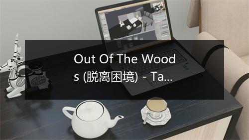 Out Of The Woods (脱离困境) - Taylor Swift (泰勒·斯威夫特)-歌词