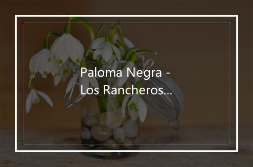 Paloma Negra - Los Rancheros Mexicanos-歌词