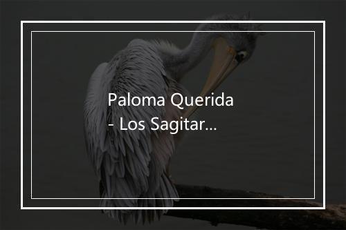 Paloma Querida - Los Sagitarios-歌词