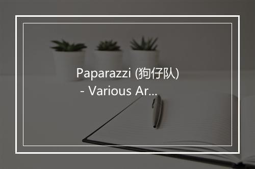 Paparazzi (狗仔队) - Various Artists (欧美群星)-歌词