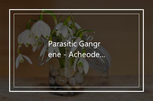 Parasitic Gangrene - Acheode-歌词