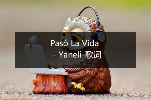 Pasó La Vida - Yaneli-歌词