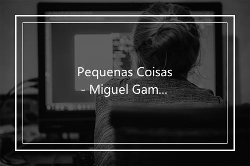 Pequenas Coisas - Miguel Gameiro-歌词