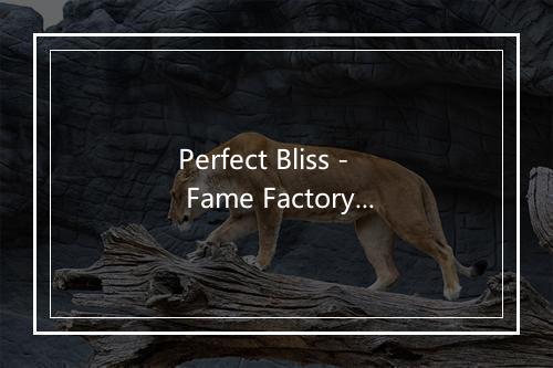 Perfect Bliss - Fame Factory-歌词