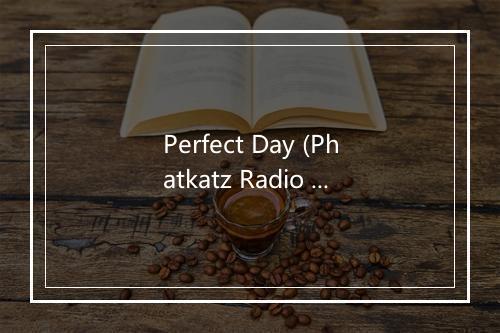 Perfect Day (Phatkatz Radio Edit) - Indigo（澳大利亚）-歌词_1