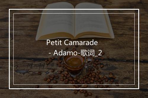 Petit Camarade - Adamo-歌词_2