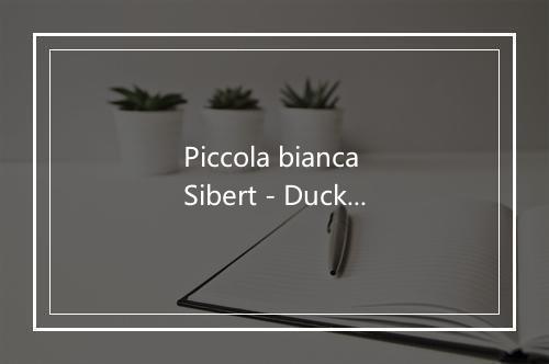 Piccola bianca Sibert - Duck Baby Band-歌词