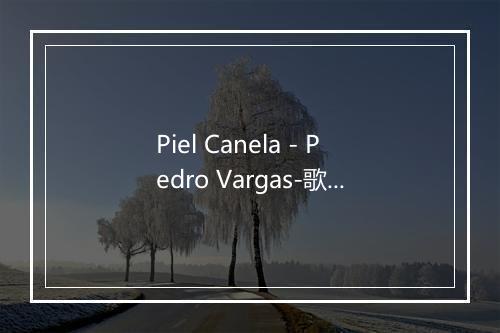 Piel Canela - Pedro Vargas-歌词_3