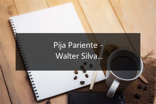 Pija Pariente - Walter Silva-歌词