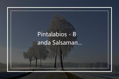 Pintalabios - Banda Salsamania-歌词