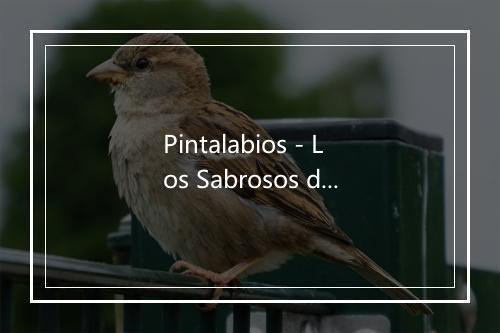 Pintalabios - Los Sabrosos del Caribe-歌词