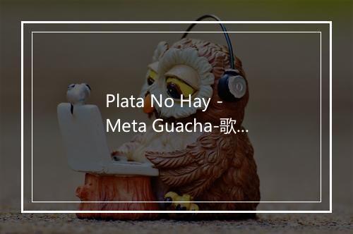 Plata No Hay - Meta Guacha-歌词