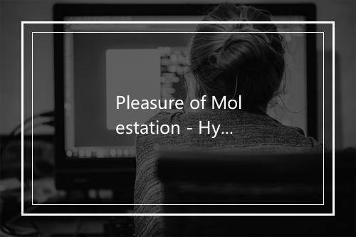 Pleasure of Molestation - Hypocrisy-歌词