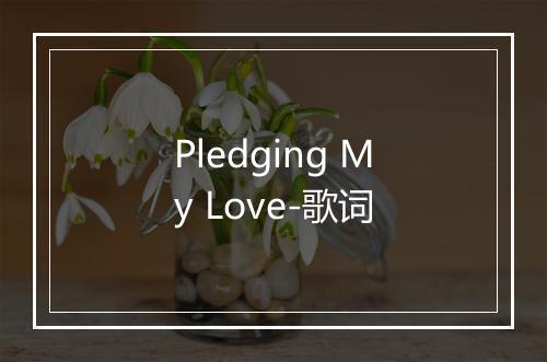 Pledging My Love-歌词