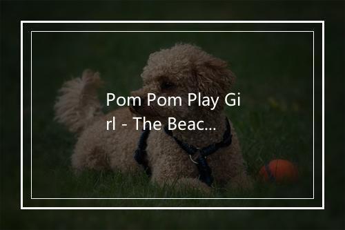 Pom Pom Play Girl - The Beach Boys-歌词_3