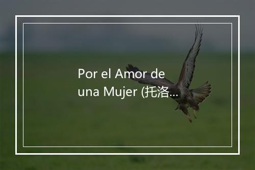 Por el Amor de una Mujer (托洛巴：路易莎·费尔南达：第二幕：对于一个女人的爱) - Carlos Cuevas-歌词_1