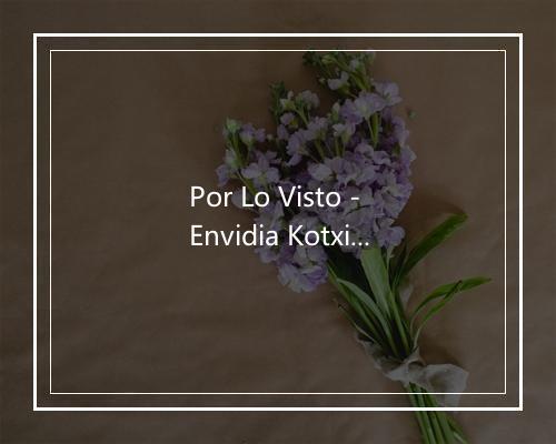 Por Lo Visto - Envidia Kotxina-歌词