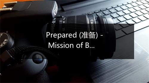 Prepared (准备) - Mission of Burma-歌词