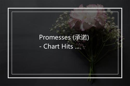 Promesses (承诺) - Chart Hits 2015-歌词