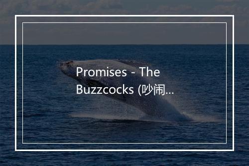 Promises - The Buzzcocks (吵闹公鸡乐团)-歌词