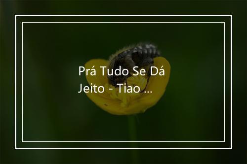 Prá Tudo Se Dá Jeito - Tiao Carreiro & Pardinho-歌词