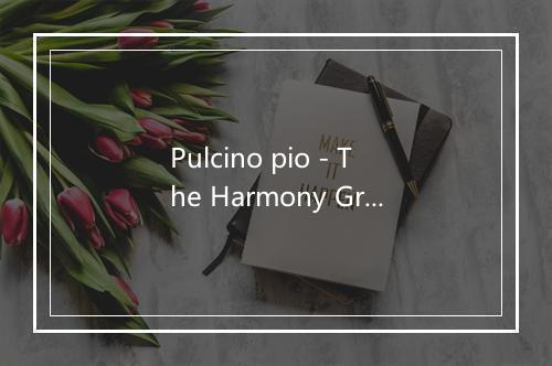 Pulcino pio - The Harmony Group-歌词_5