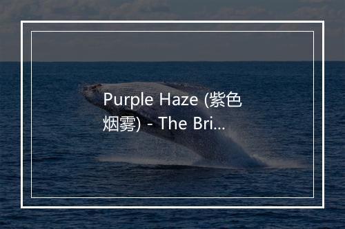 Purple Haze (紫色烟雾) - The British Pop Band-歌词